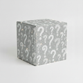 Silver Sparkly Mystery Box